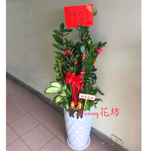 盆栽台・花台 盆栽花台 レッドオーク 長方形 8号 幅25cm×奥行9.5cm×高さ2cmを